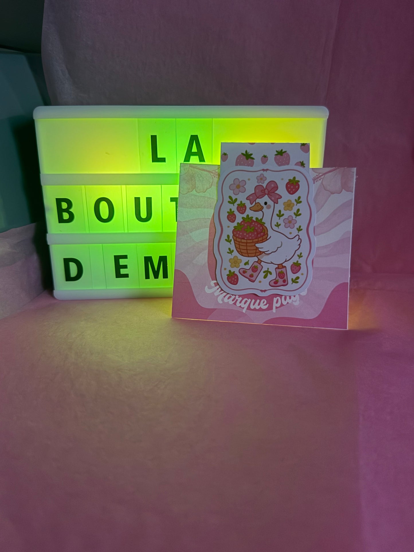 Marque page magnétique mignon